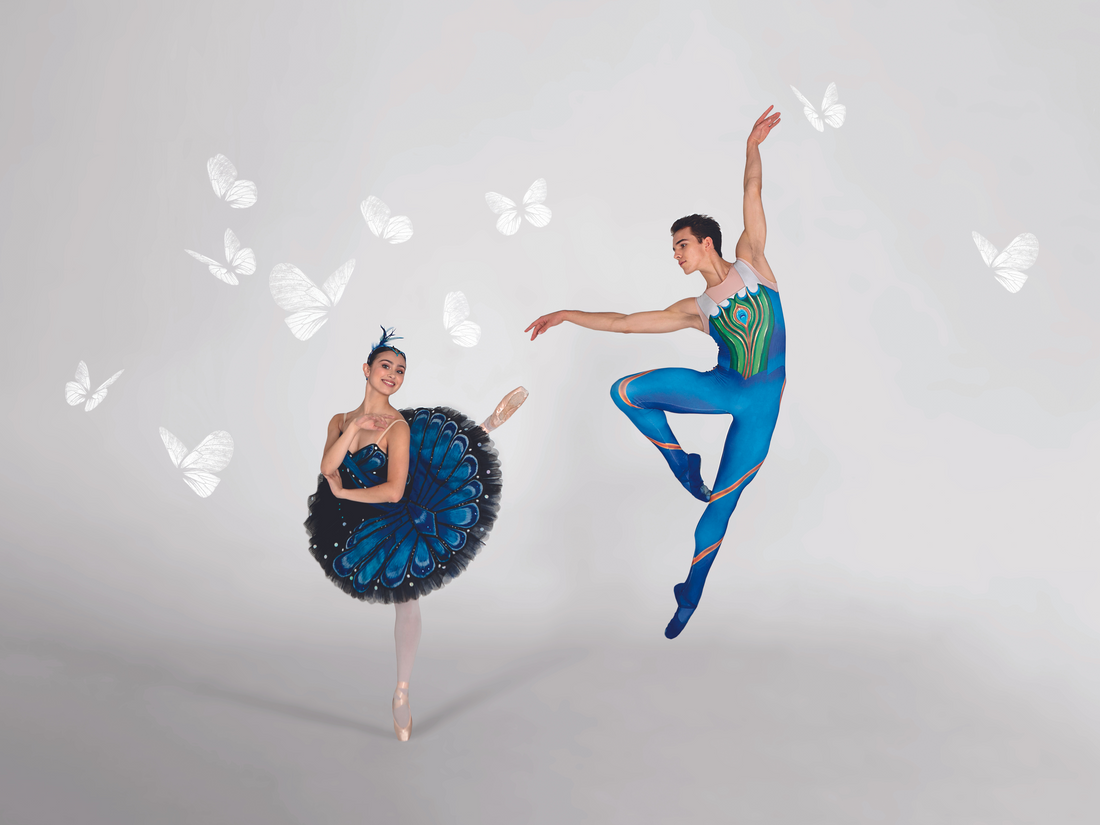 Two ballerinas, one female and one male. There are butterflies surrounding them. 