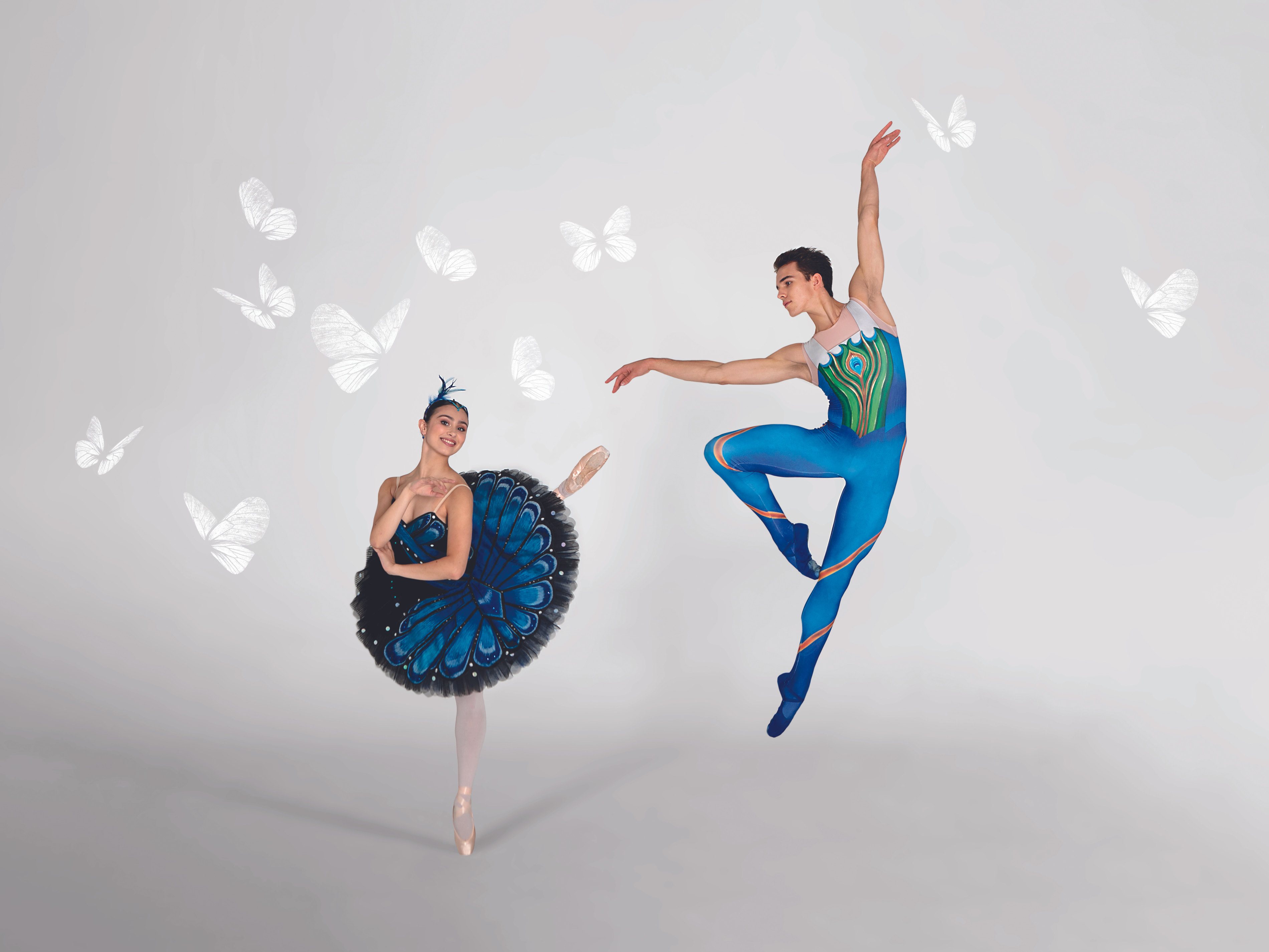 Two ballerinas, one female and one male. There are butterflies surrounding them. 