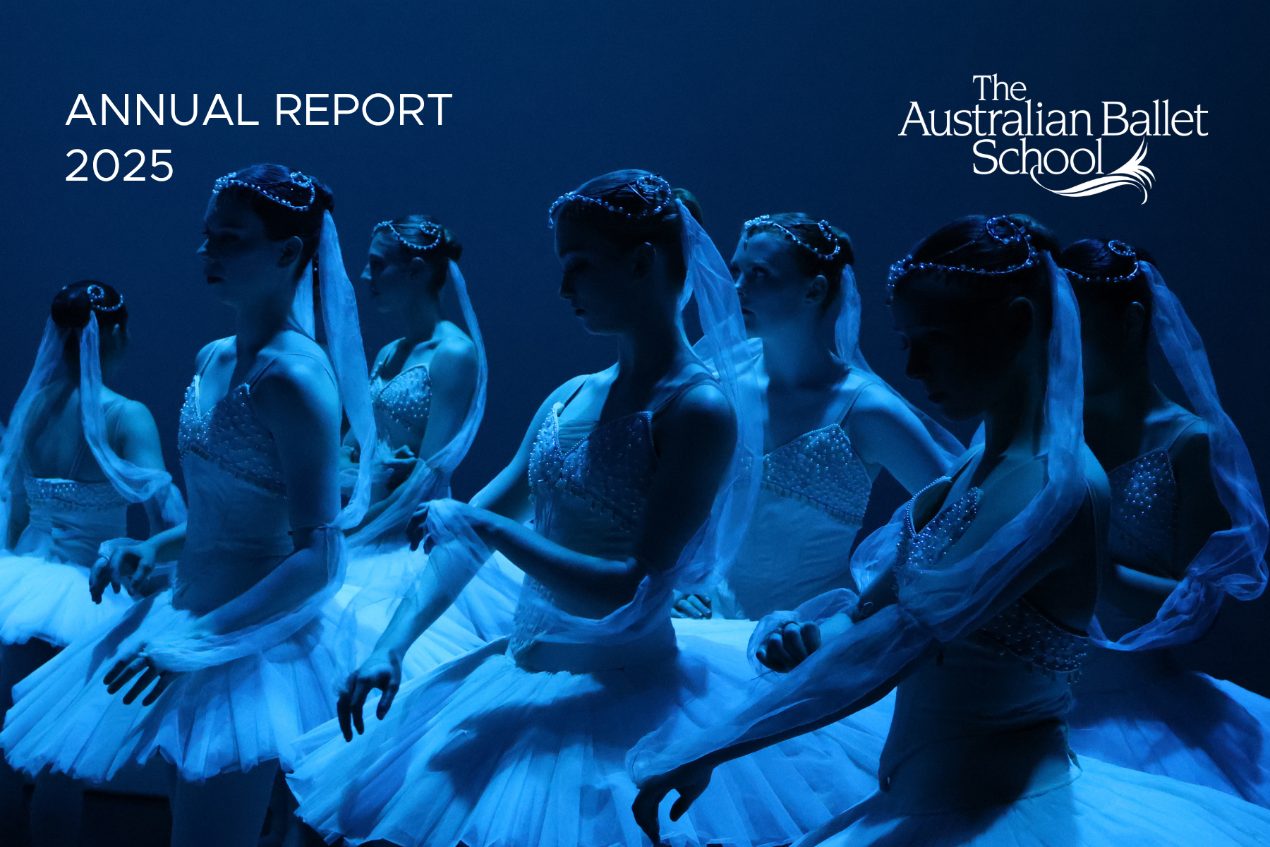 2025 Annual Report Now Available