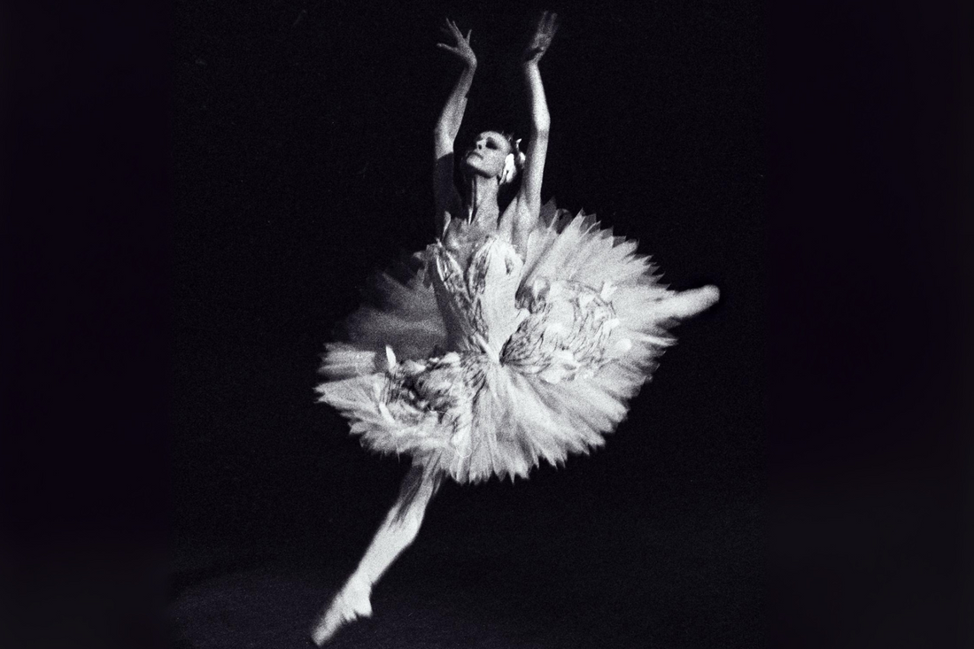 Our History Makers: Joanne Michel