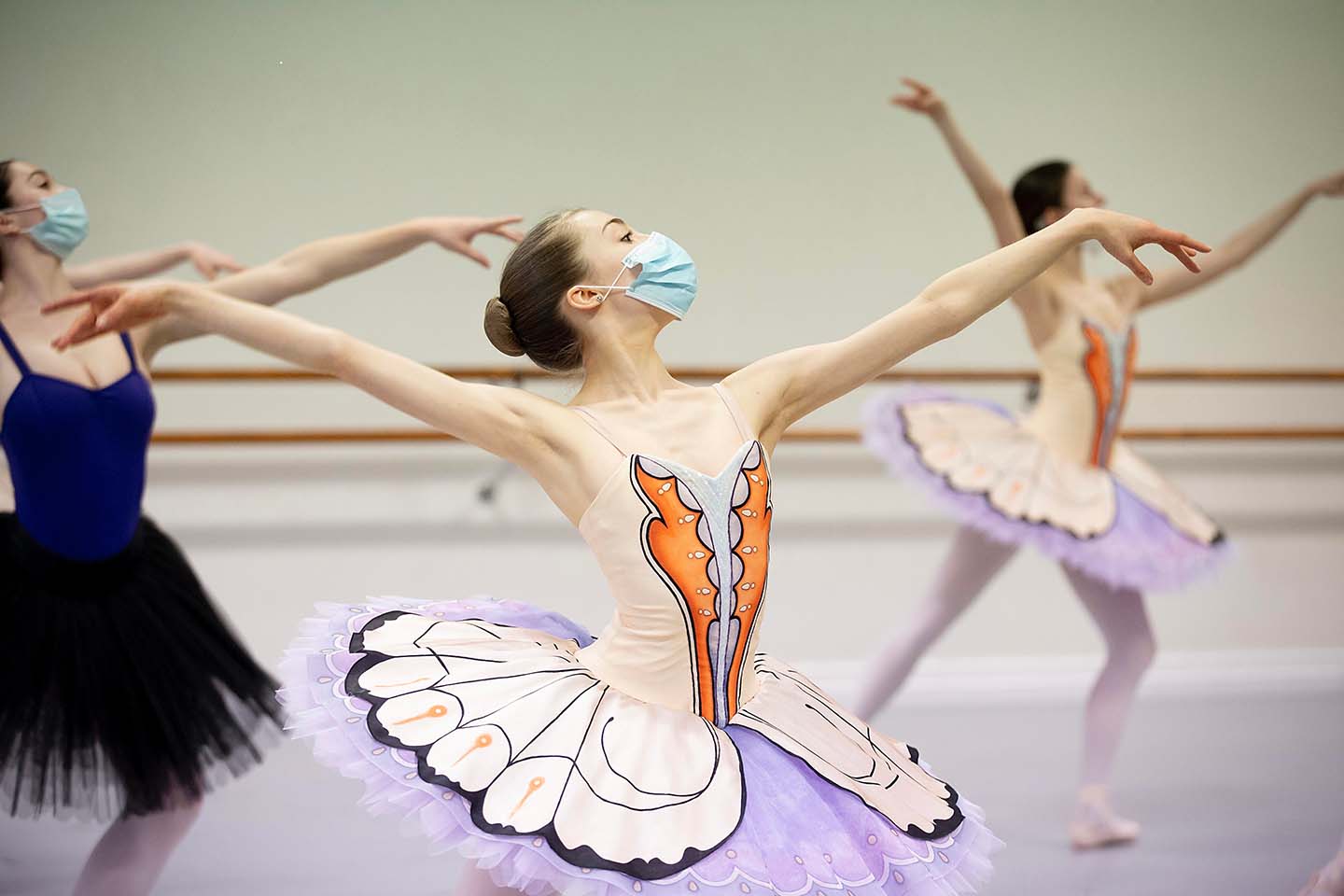 Announcement: Butterfly premiere season in Sydney cancelled